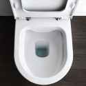 Introducing the LAUFEN Pro toilet with a slim slow-close lid.