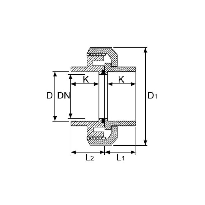Disassembled connection PVC-u PİMTAŞ 25 (PN16)