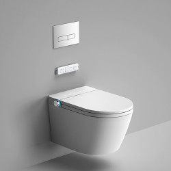 Hanging toilet with bidet function Rimless with seat and lid
