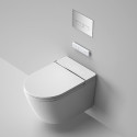 Hanging toilet with bidet function Rimless with seat and lid