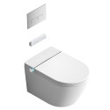 Hanging toilet with bidet function Rimless with seat and lid
