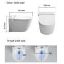 Hanging toilet with bidet function Rimless with seat and lid