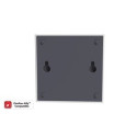Network interface AllyTM DANFOSS Icon2™