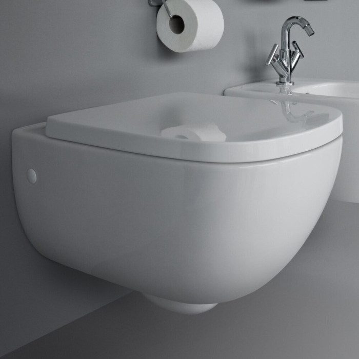 Hanging toilet LAUFEN Palomba Rimless with Slowclose lid