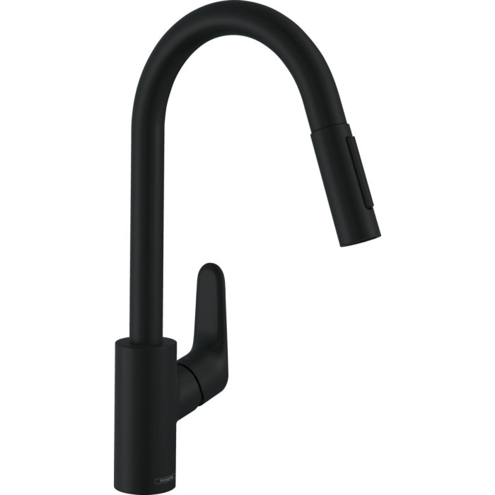 Kitchennis (izlietnes) maisītājs ar izvelkamu snapu HANSGROHE Focus, 31815670