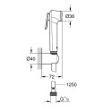 Набор ручного душа GROHE Tempesta-F, 27513GL1
