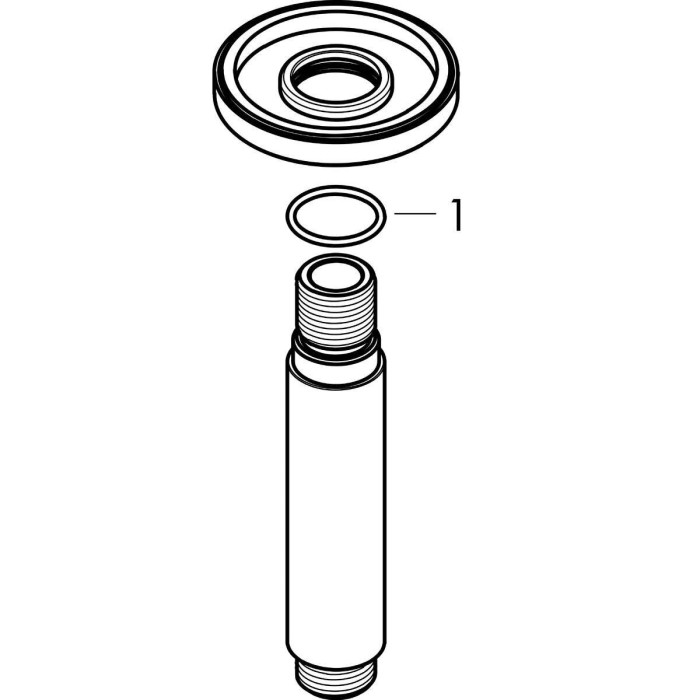 Shower holder from the ceiling HANSGROHE Crometta S 10 cm, 27804000