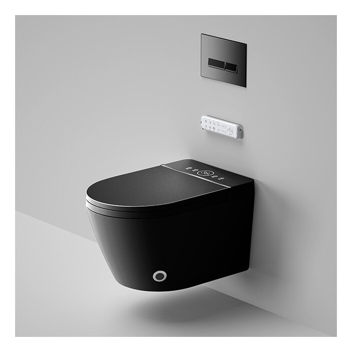 Hanging toilet with bidet function Rimless with seat and lid