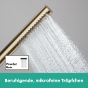 HANSGROHE Pulsify S 100 hand shower head, 1 jet EcoSmart+, 24126140
