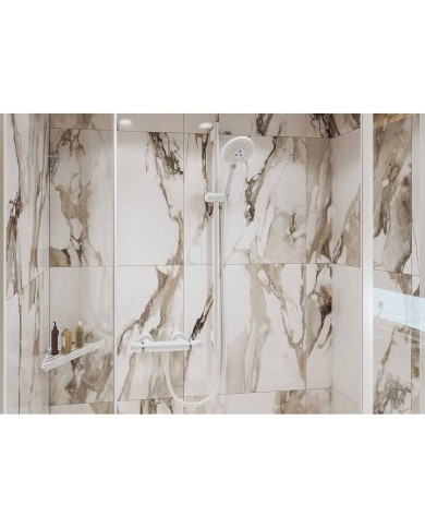 Corner shelf HANSGROHE AddStoris, 41741700