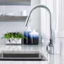 Кухонный смеситель с выдвижным изливом HANSGROHE Focus, 31815000