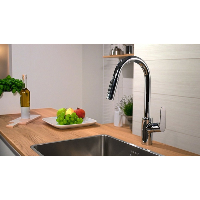 Virtuves (izlietnes) maisītājs ar izvelkamu snapu HANSGROHE Focus, 31815000