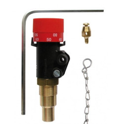 Thermostatic regulator HONEYWELL FR124-3/4A in the boiler tanks