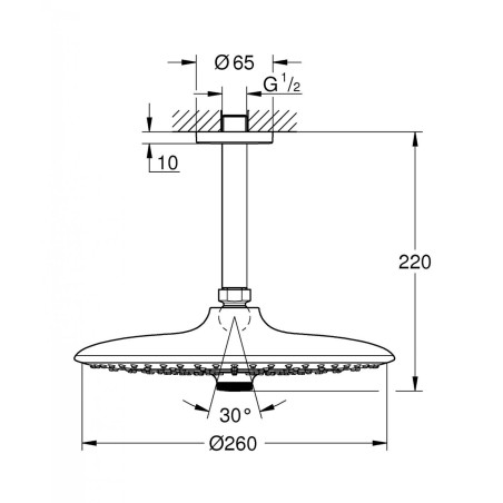 Stacionārā dušas galviņa ar turētāju no griestiem GROHE Euphoria 260 mm