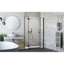 Shower doors Radaway Essenza New Black DWJS