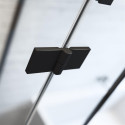 Shower doors Radaway Essenza New Black DWJS